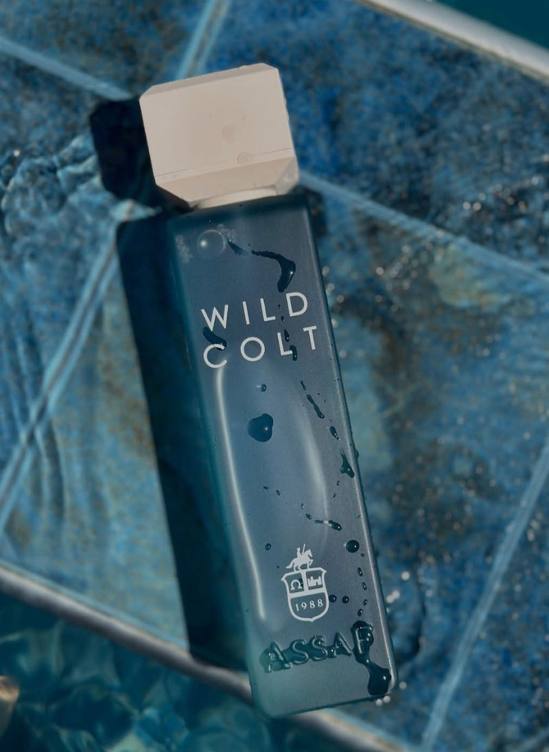Original Wild Colt أوريجينال وايلد كولت