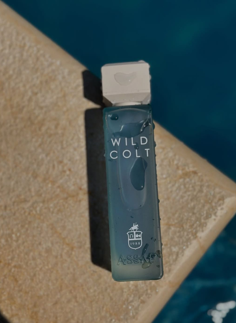 Original Wild Colt أوريجينال وايلد كولت